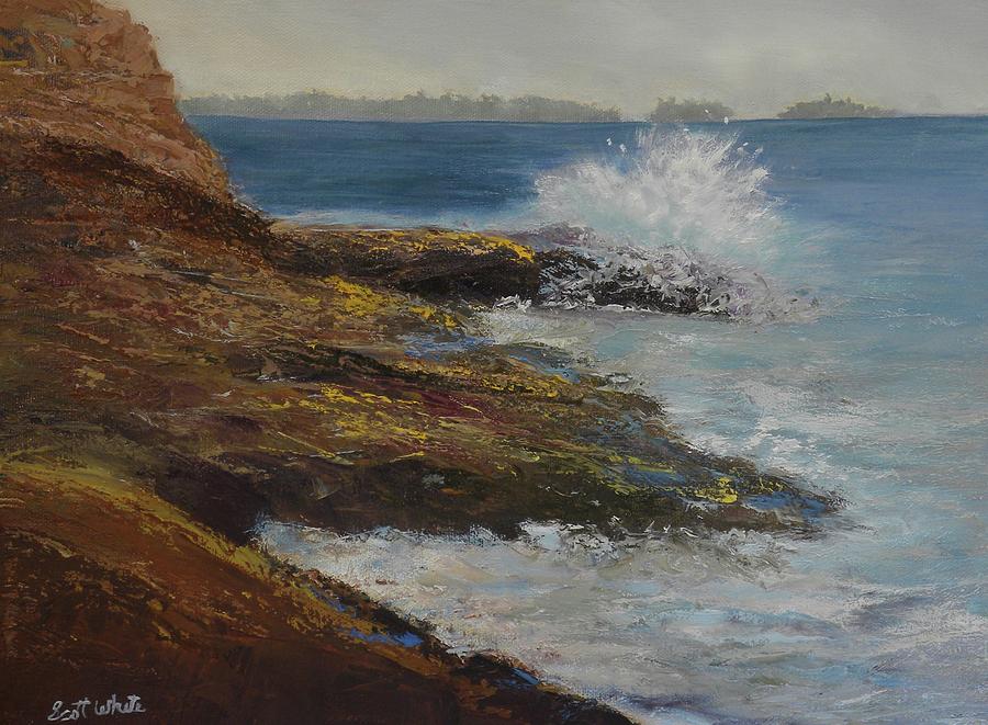 on rocky ledge by Scott W White on rocky ledge by Scott W White