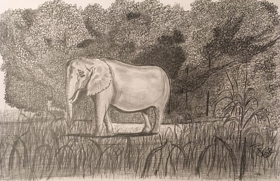 On Safari Drawing by Tony Clark