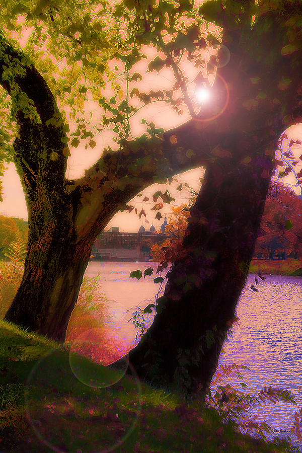 On The Bank Digital Art by Kathy Besthorn