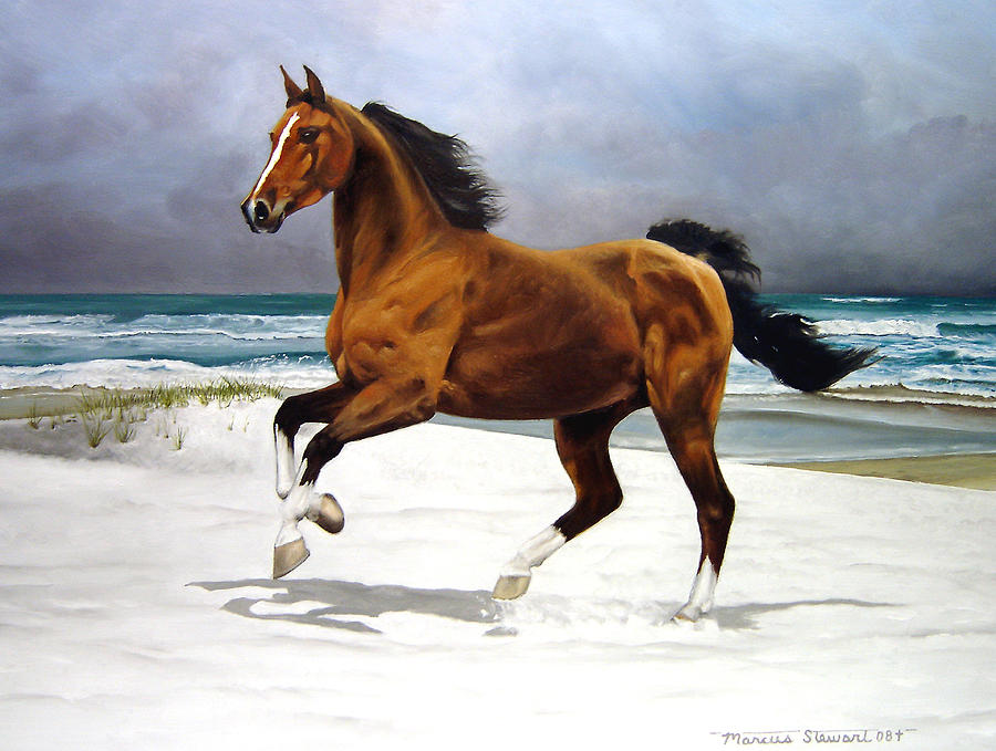 Horse Painting - On The Beach by Marc Stewart Horse Painting - On The Beach by Marc Stewart