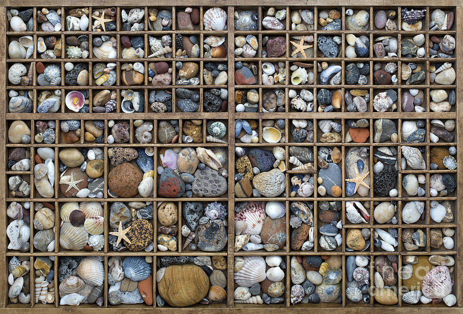 Pebbles Photograph - On the Beach by Tim Gainey