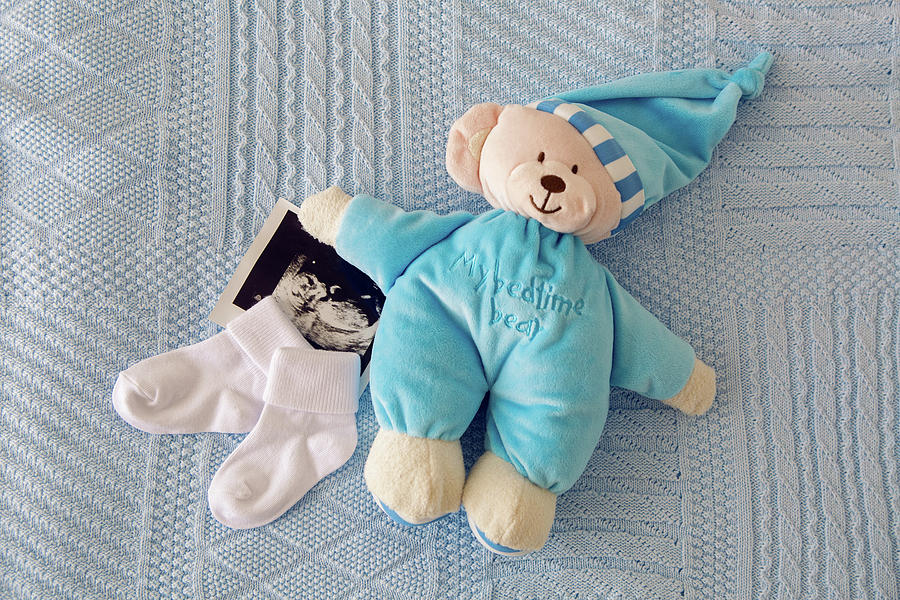 ultrasound teddy bear