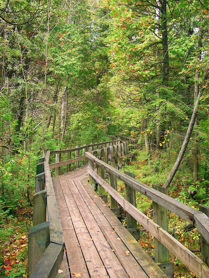 On the Boardwalk Photograph by Jane Meakings - Fine Art America