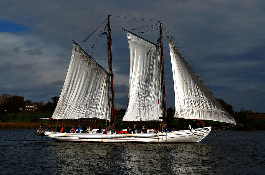 The A. J. Meerwald Photograph by Richard Ortolano