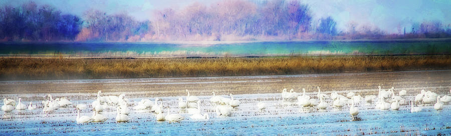 Wildlife Digital Art - On the Delta Panorama by Terry Davis
