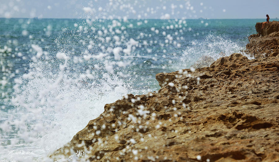 Nature Photograph - On the Edge Blowing Rocks Preserve Jupiter Island Florida by Michelle Constantine
