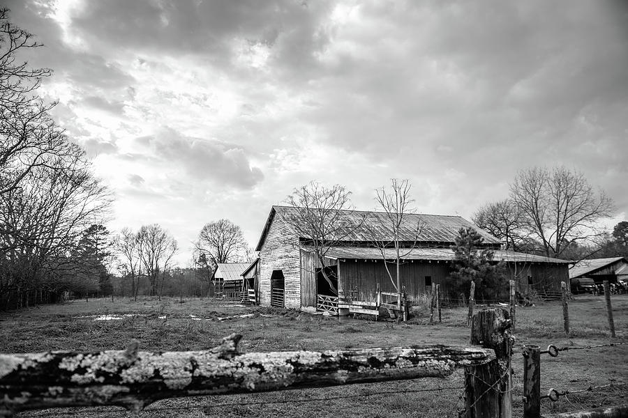On The Farm in Alamance County Photograph by Cynthia Wolfe