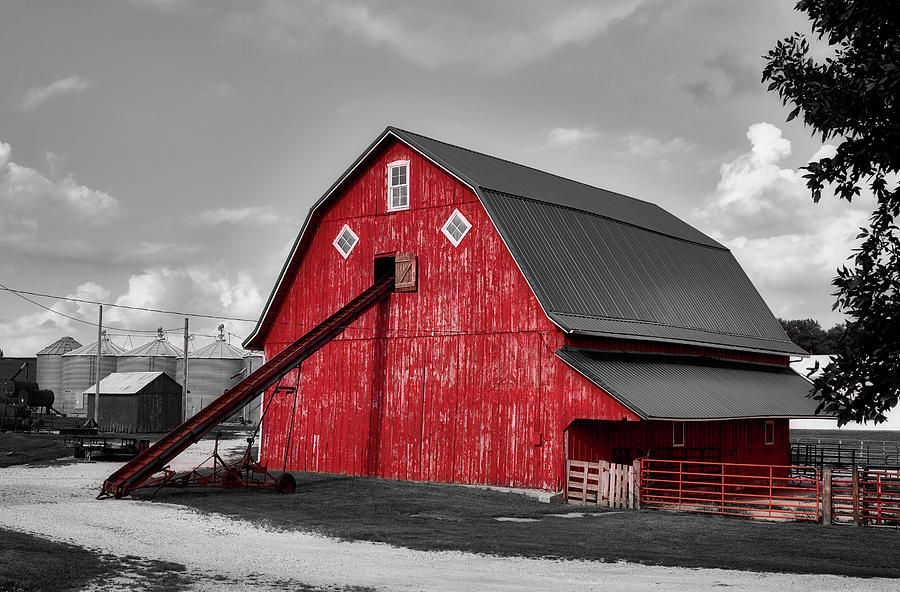 Summer Photograph - On The Farm In Iowa by Mountain Dreams