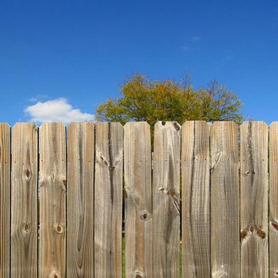 Fence Photograph - On The Fence by Tracey Rees