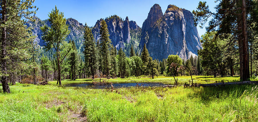  On the Floor of Yosemite Photograph by Dan Carmichael