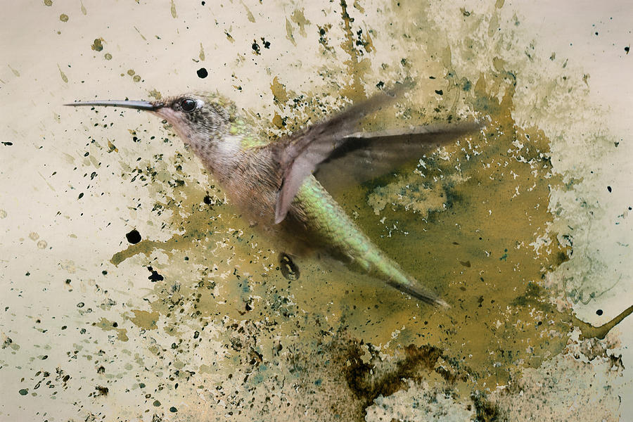 On The Fly Hummingbird Art Photograph by Jai Johnson