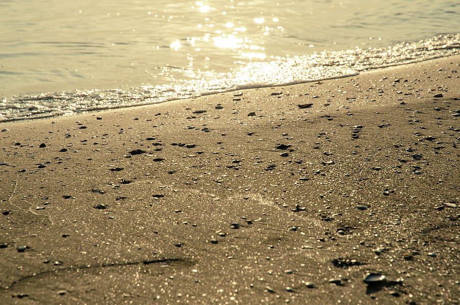 On the golden shore Photograph by AM FineArtPrints