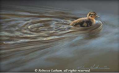 Duck Painting - On The Move - Mallard Duckling by Rebecca Latham Duck Painting - On The Move - Mallard Duckling by Rebecca Latham