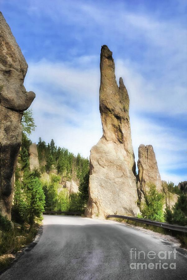 On The Needles Highway 1 Photograph by Mel Steinhauer