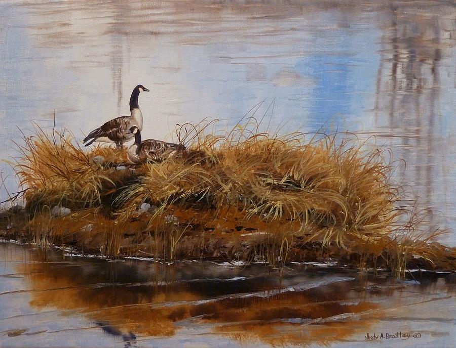 On The Nest by Judy Bradley On The Nest by Judy Bradley