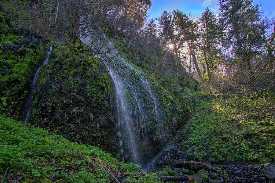 Portland Photograph - On the Path to Multnomah Falls by Lynn Bauer