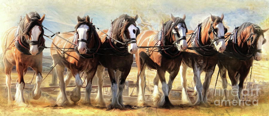 Horse Digital Art -  On The Plough by Trudi Simmonds