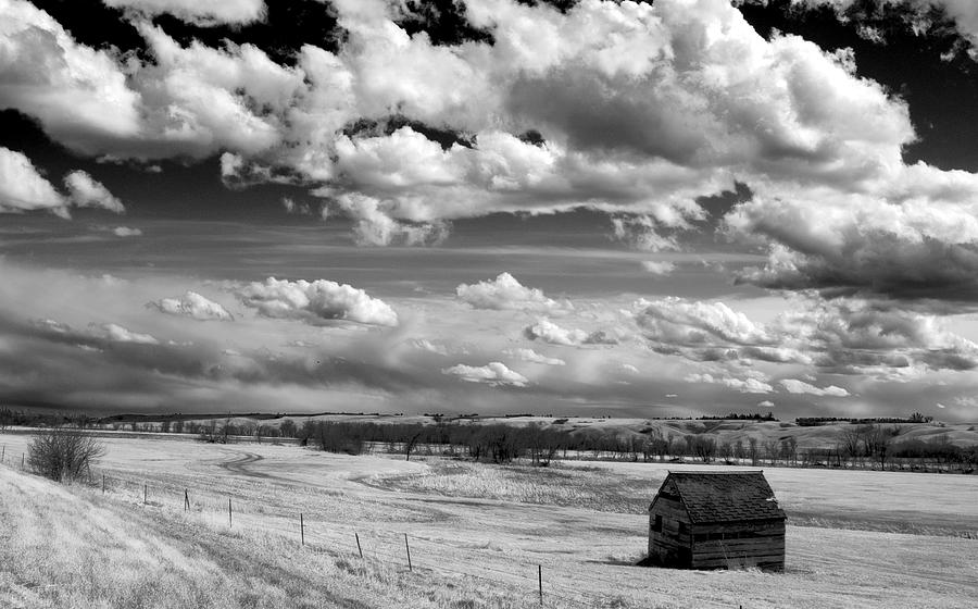 On the Prairie Photograph by Bob Mintie