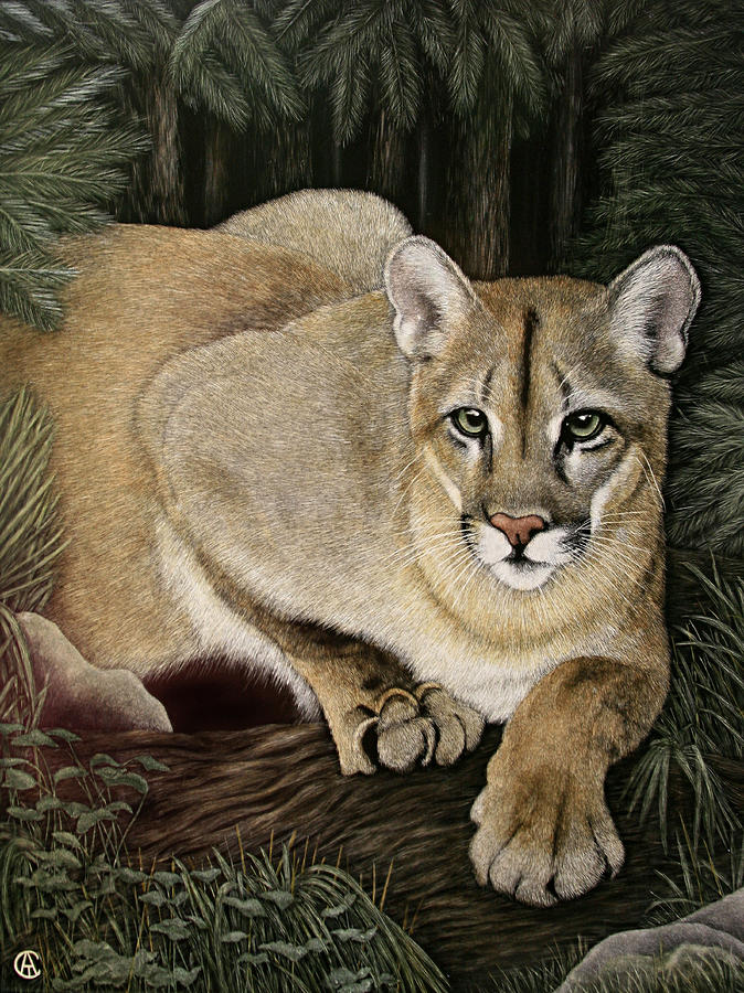 On the Prowl Painting by Angie Cockle
