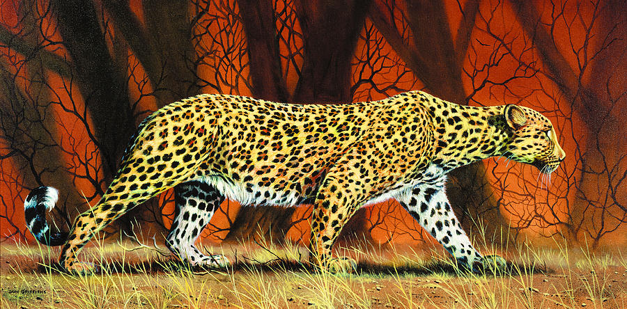 Wildlife Painting - On the Prowl by Don Griffiths