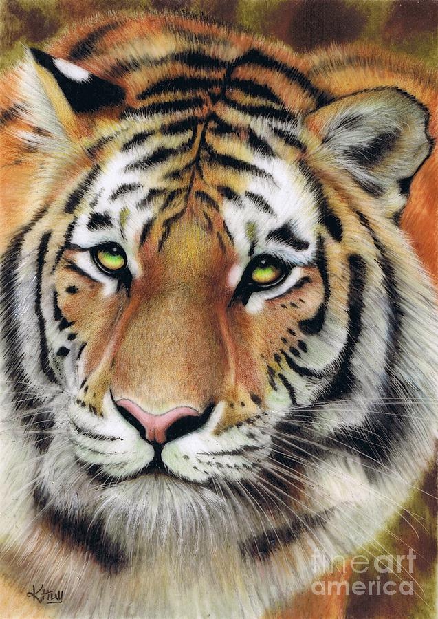 On the Prowl Drawing by Karen Hull