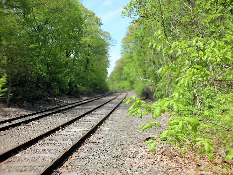 On The Right Track Photograph