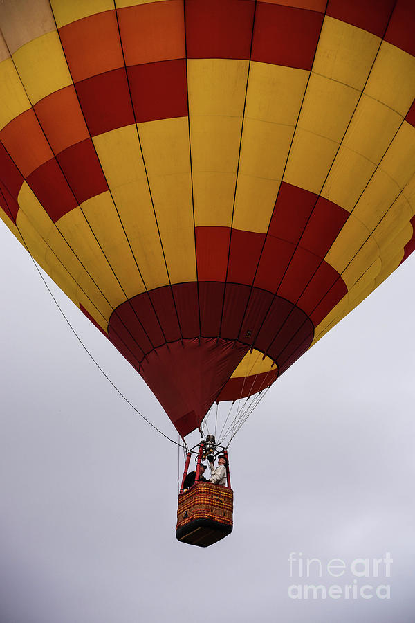 On The Rise by Grace Grogan On The Rise by Grace Grogan