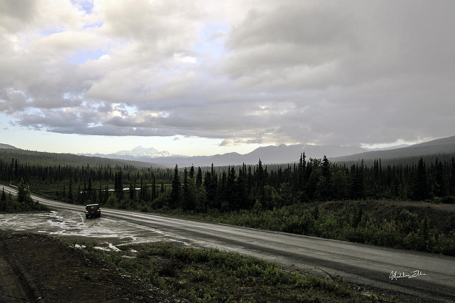 Tree Photograph - On The Road Again -  Alaska by Madeline Ellis