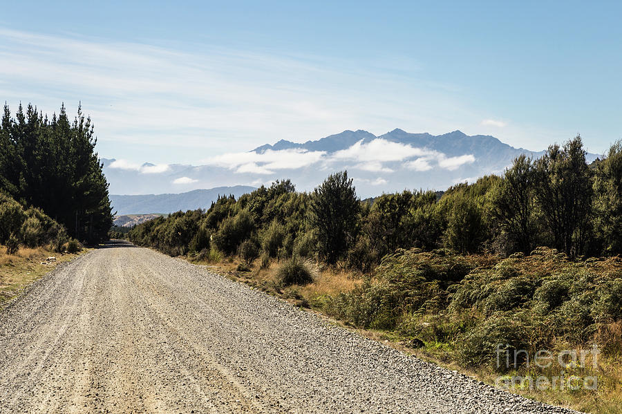 On the road in New Zealand south island near lake Monowai Photograph by Didier Marti