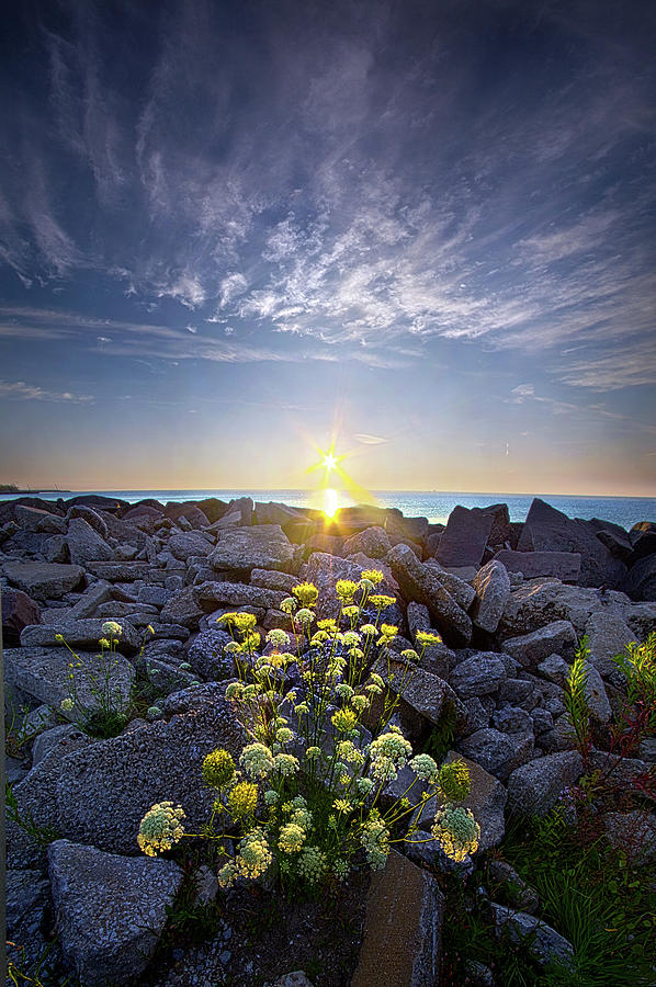 Sunset Photograph - On The Rocks With A Twist. by Phil Koch