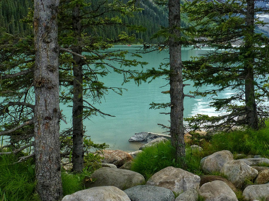 On The Shore Of Lake Louise Photograph by Connie Handscomb