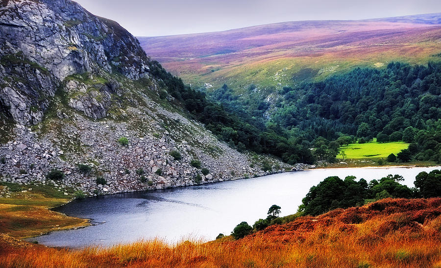 Mountain Photograph - On the Shore of Lough Tay. Wicklow. Ireland by Jenny Rainbow