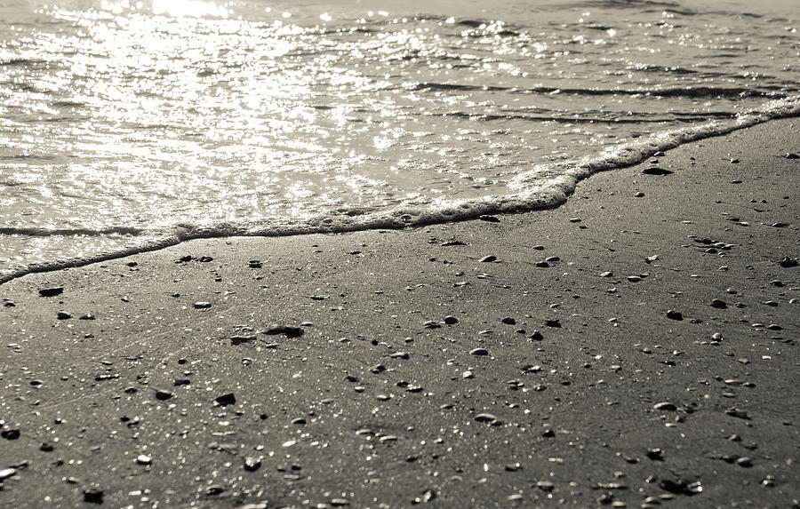 On the silvery shore Photograph by AM FineArtPrints