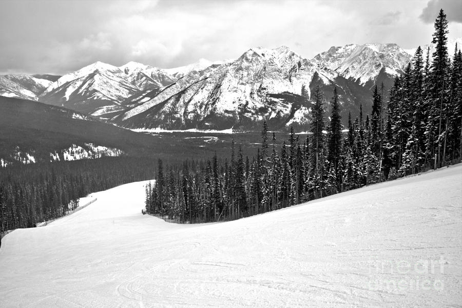 On The Slopes Of Nakiska Black And White Photograph by Adam Jewell