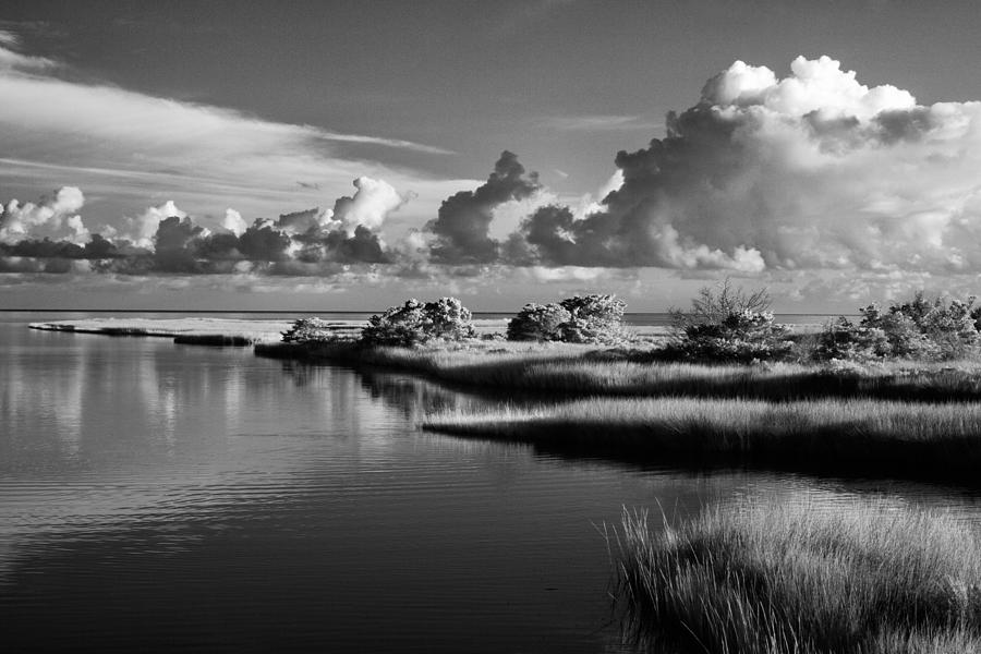 On the Sound Side Photograph by Dan Carmichael On the Sound Side Photograph by Dan Carmichael