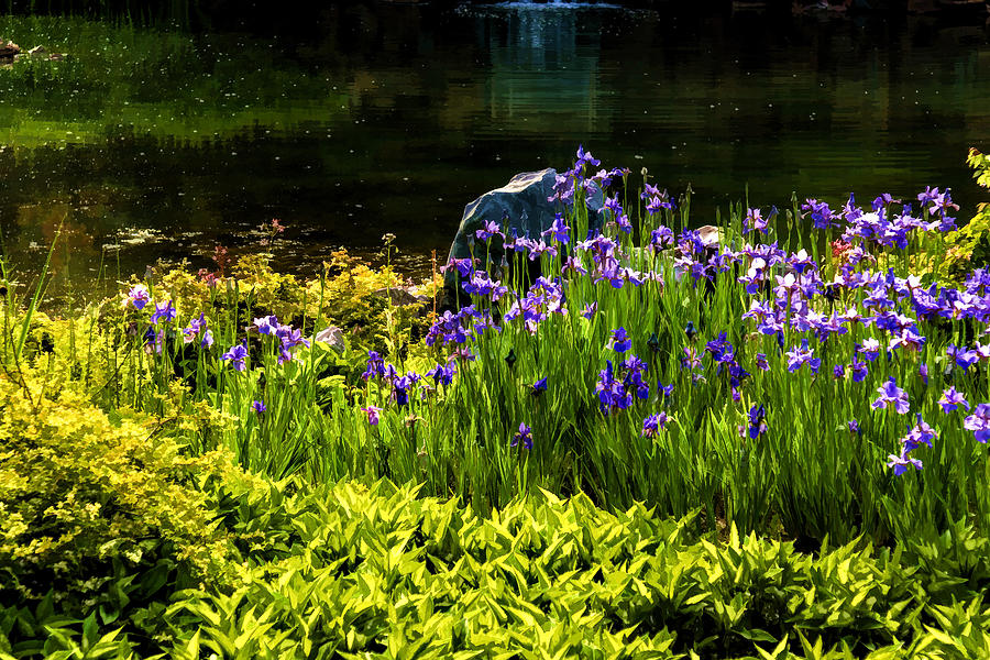 On the Sunny Bank of the Pond - Enjoy Summer Digital Art by Georgia Mizuleva