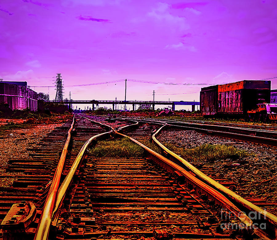 On The Tracks Photograph by JB Thomas
