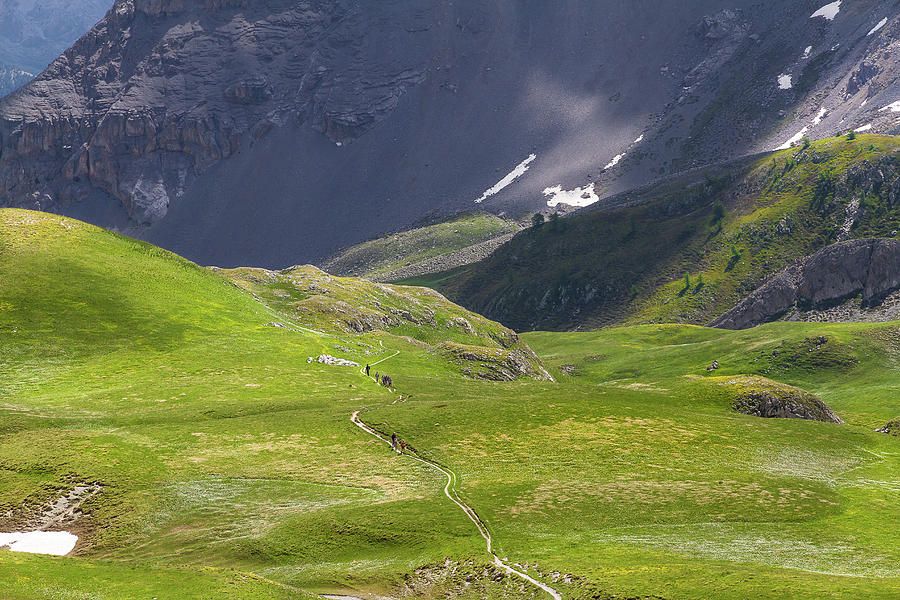 On the trail - French Alps Photograph by Paul MAURICE