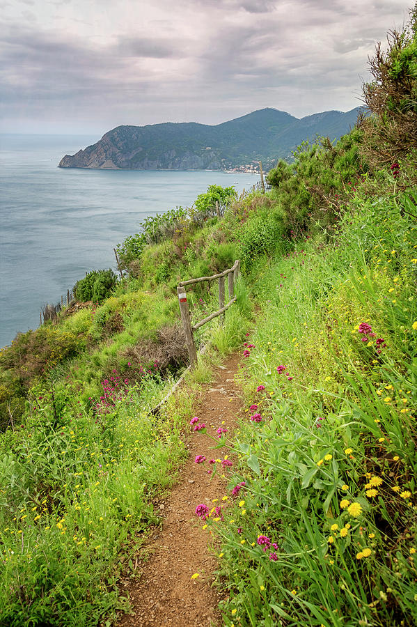 National Parks Photograph - On the Trail to Vernazza Cinque Terre Italy by Joan Carroll
