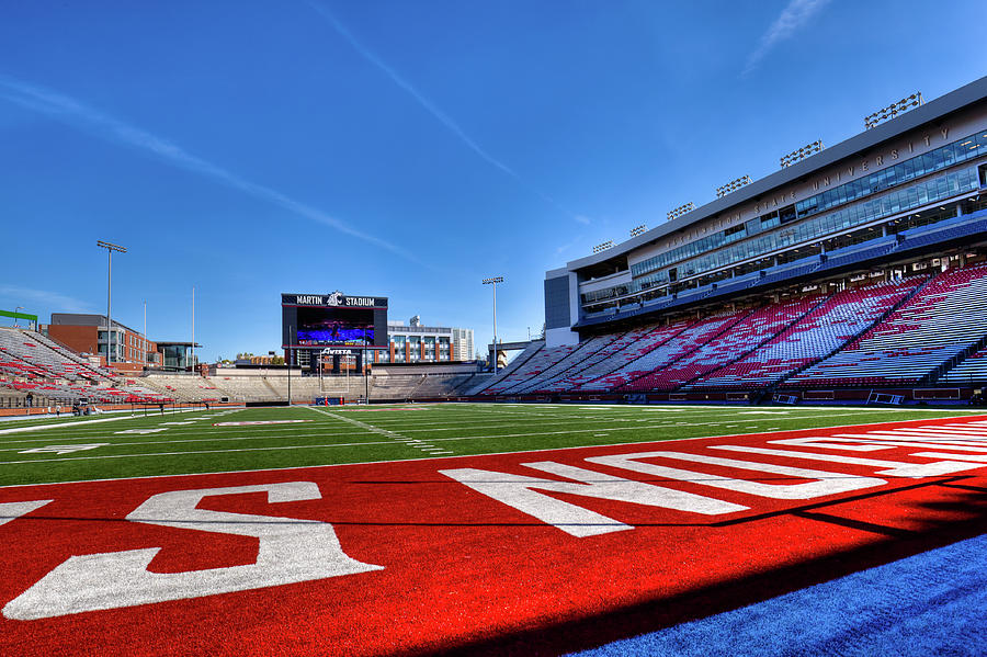 On the turf of Martin Stadium Photograph by David Patterson