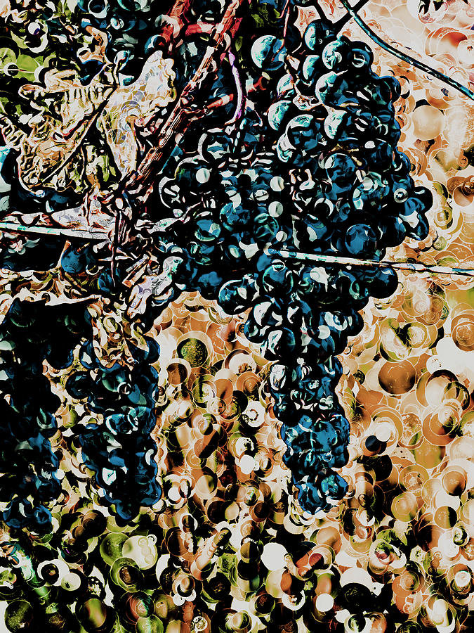 On The Vine - Abstract Digital Art by Leslie Montgomery