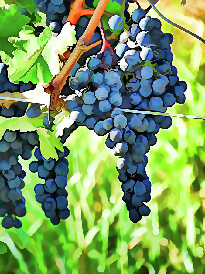 On The Vine - Painting Effect Photograph by Leslie Montgomery