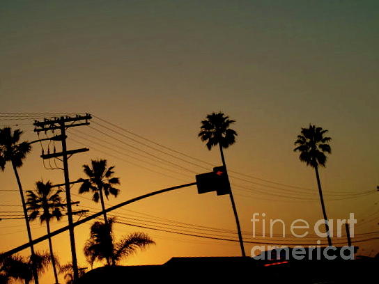 Sunset Photograph - On the Way Home  by Maureen J Haldeman