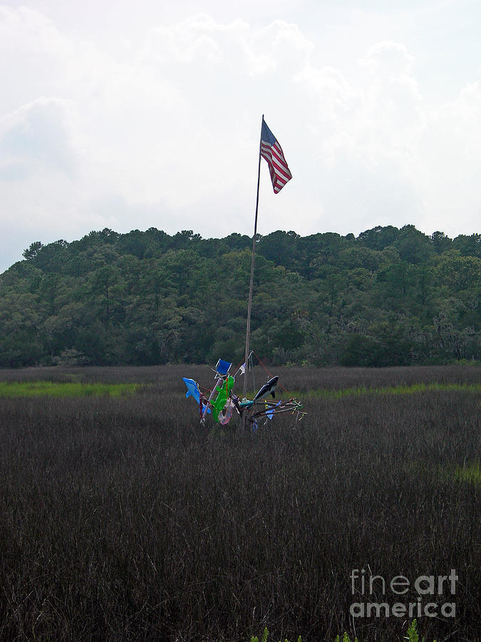 Tool Photograph - On The Way To Edisto by Skip Willits