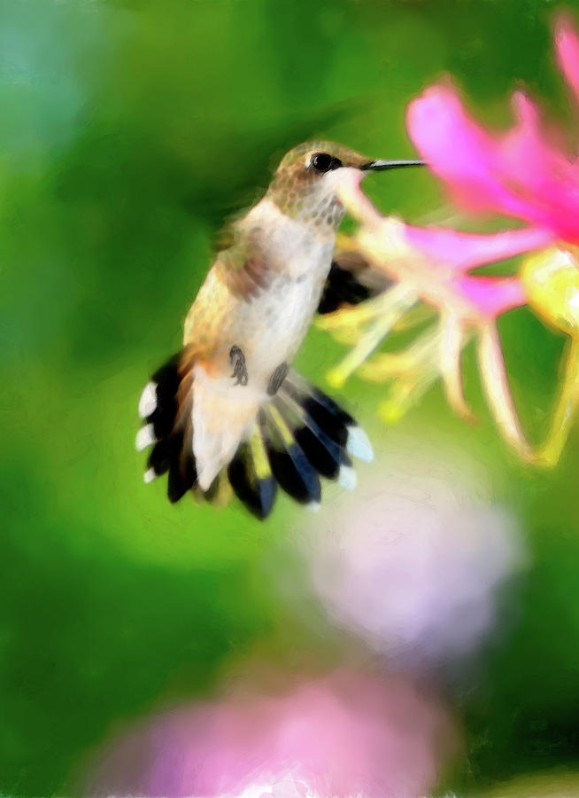 Hummingbird Photograph - On The Wing by Betty LaRue