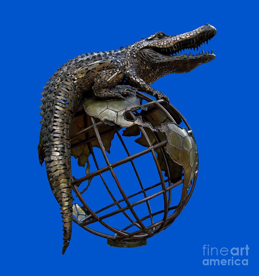 University Of Florida Photograph - On Top Of The World Transparent For T Shirts by D Hackett