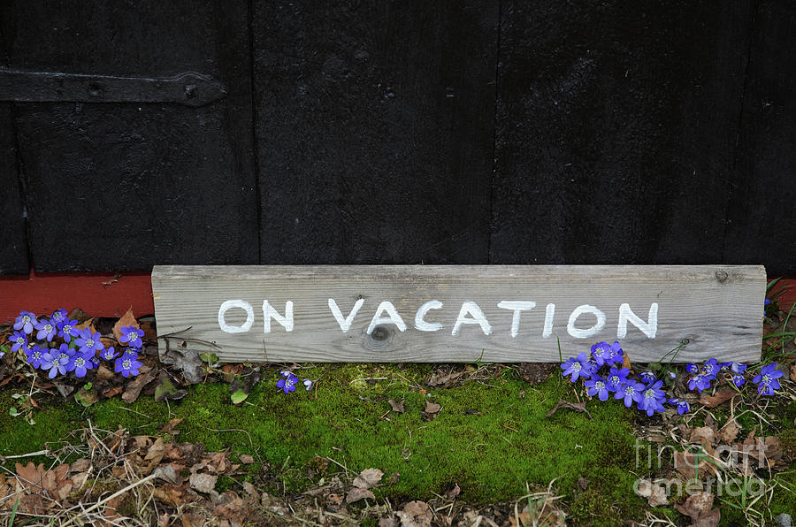 On Vacation Sign By Blue Flowers Photograph