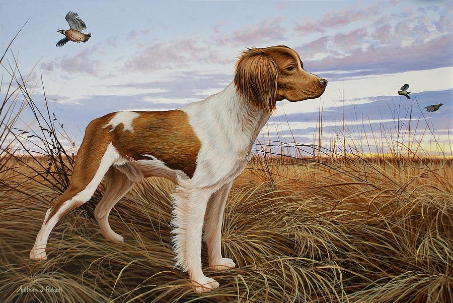 On Watch - Brittany Spaniel Painting by Anthony J Padgett