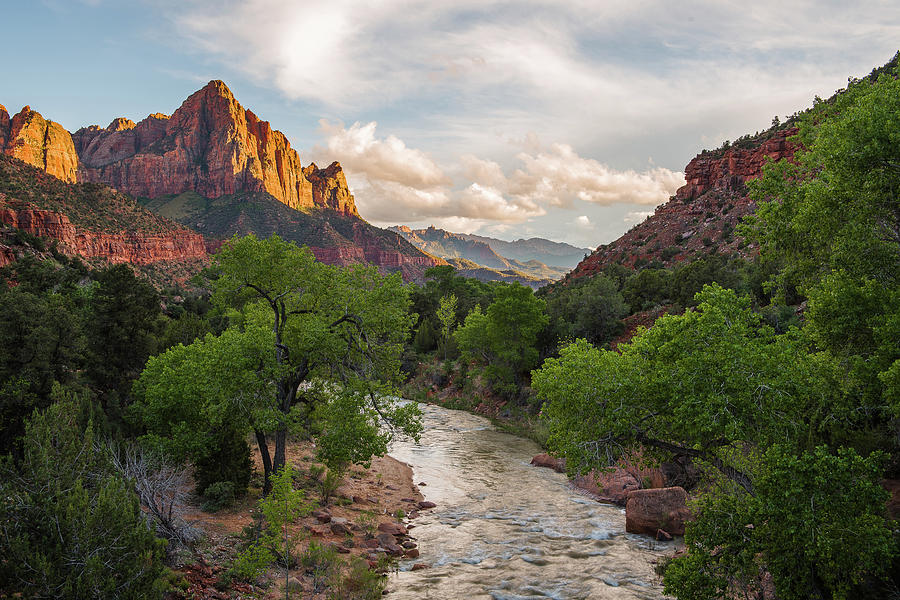 Zion National Park Photograph - On Watch by Ryan Moyer