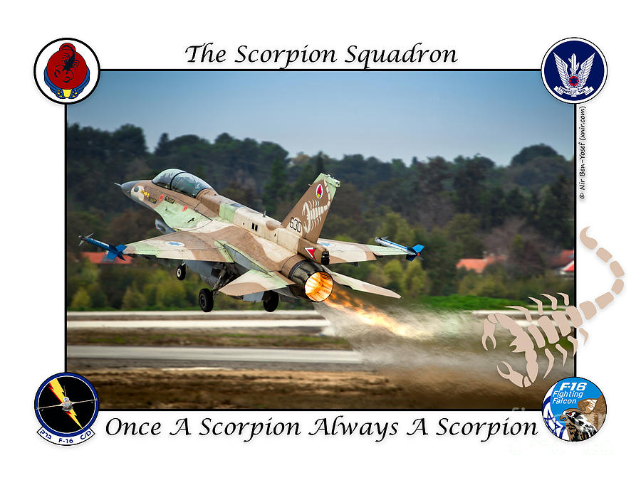 Once A Scorpion Always A Scorpion Photograph by Nir Ben-Yosef